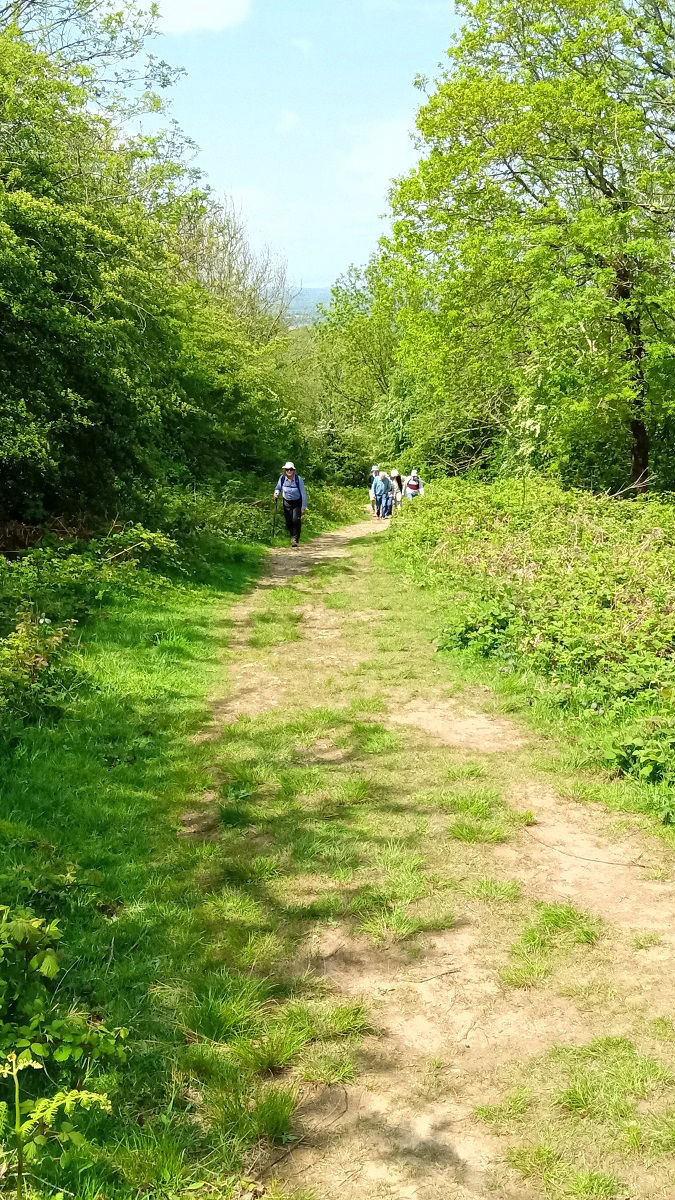 Mobirise